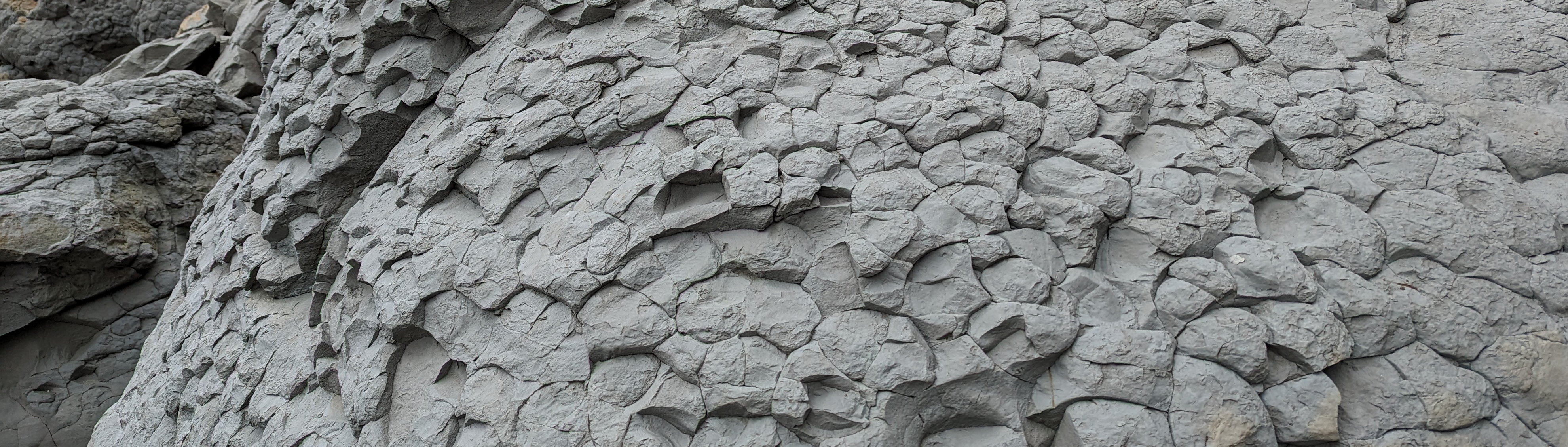 Bannerbild